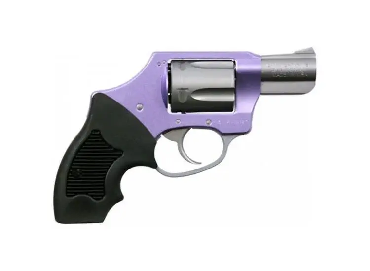 Charter Arms - LAVENDER LADY .38 Special 2" 5rd Compact Grip Lavender/Stainless Steel - Image 2