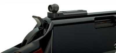 HENRY SMALL GAME CARB 22WMR - 17" OCTAGON LARGE LOOP PEEP - Image 2