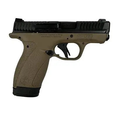 BODYGUARD 2.0 380ACP (1)10(1)12 MAGS NTS FDE