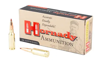 Hornady CUST 6MM ARC 90GR CX 20/200