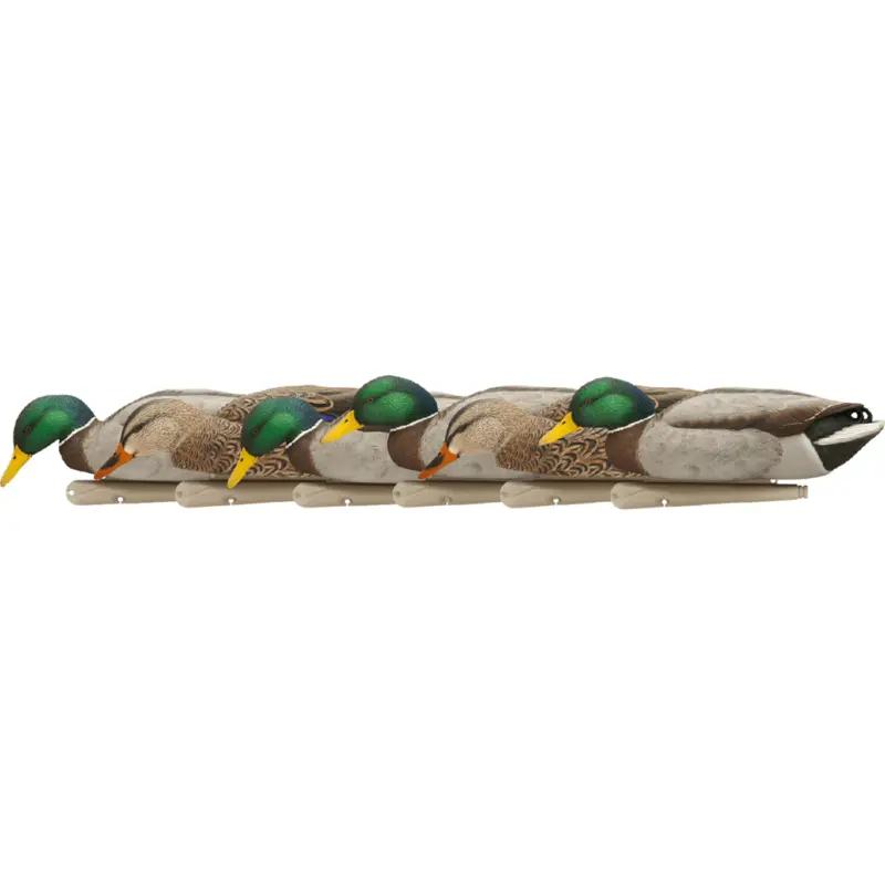 Avian X Top Flight Duck Decoys Backwater Mallards 6 pk.
